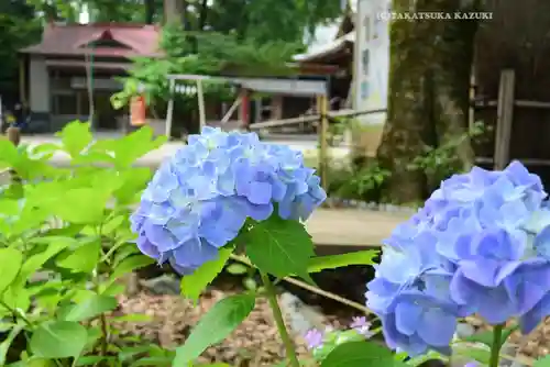 平塚八幡宮(神奈川県)