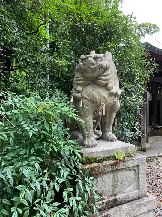 大石神社の狛犬