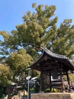 法楽寺のその他建物