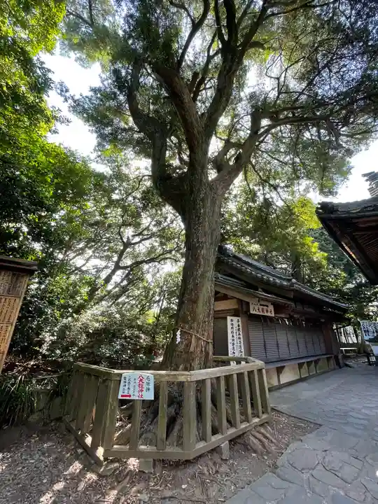 八百富神社(愛知県)