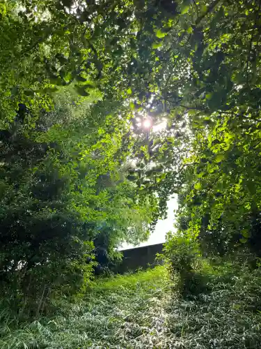 堤治神社(愛知県)