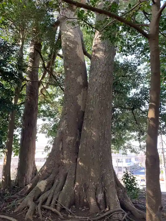 皇産霊神社(千葉県)