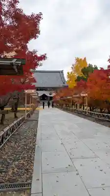  智積院(京都府)
