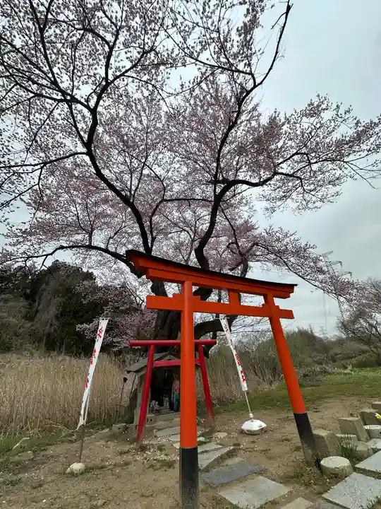 宇賀神さま(福島県)