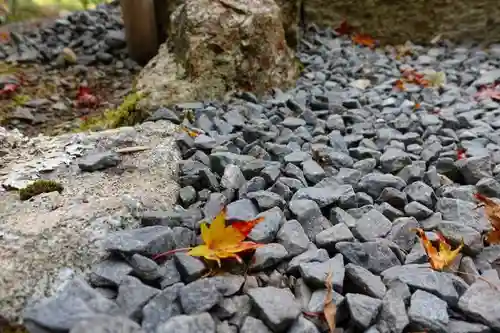 圓光寺の自然