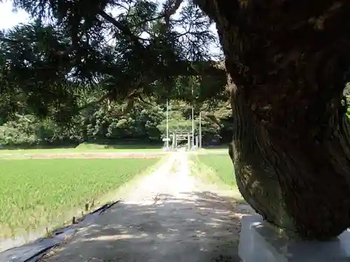 春日神社の建物その他