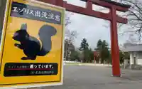 北海道護國神社の動物