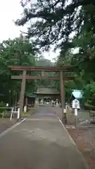 若狭姫神社（若狭彦神社下社）の鳥居