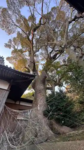 岩屋八幡神社(兵庫県)