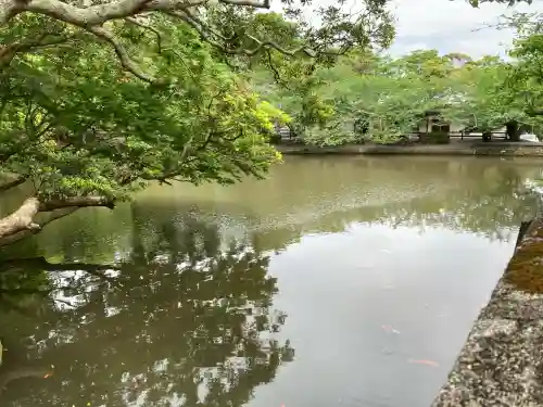 安房神社(千葉県)
