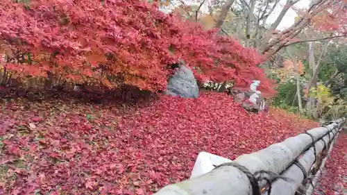 出雲大神宮(京都府)