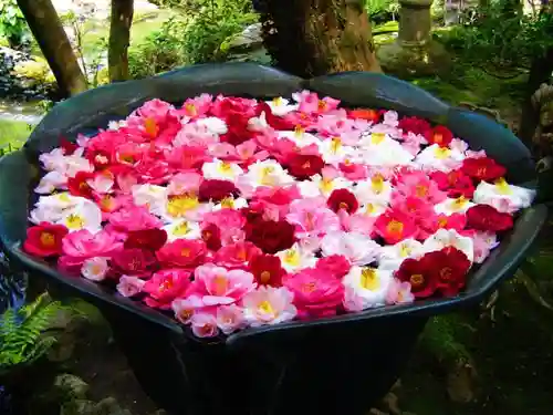 法然院のその他建物