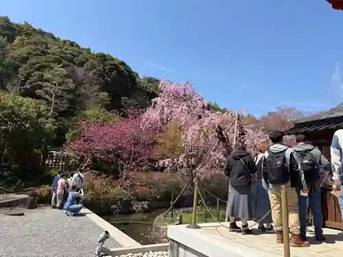 勝尾寺(大阪府)