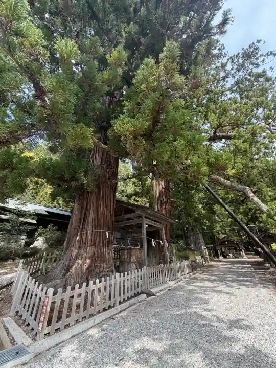 仁科神明宮の{uncategorized: "未分類", other: "その他", undefined: "問題あり", building: "その他建物", grave: "お墓", sacred_gate: "鳥居", guardian: "狛犬", statue: "像", buddha: "仏像", history: "歴史", nature: "自然", garden: "庭園", animal: "動物", pagoda: "塔", temizu: "手水舎", mountain_gate: "山門・神門", sanctuary: "本殿・本堂", subordinate: "末社・摂社", art: "芸術", scenery: "景色", jizo: "地蔵", ema: "絵馬", goshuin: "御朱印", omikuji: "おみくじ", items: "授与品その他", amulet: "お守り", goshuincho: "御朱印帳", eats: "食事", festival: "お祭り", votive_dance: "神楽", shichigosan: "七五三参", wedding: "結婚式", experience: "体験その他", initially: "初詣", around: "周辺", anti_infection: "感染症対策"}