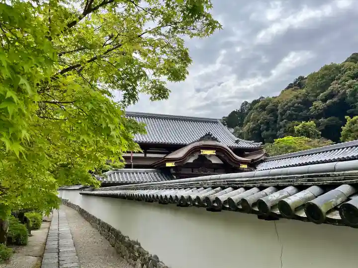 金剛寺(大阪府)