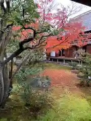 仁和寺の庭園