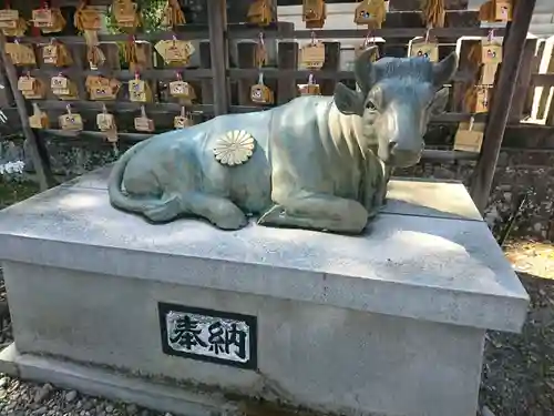 菅生石部神社の狛犬