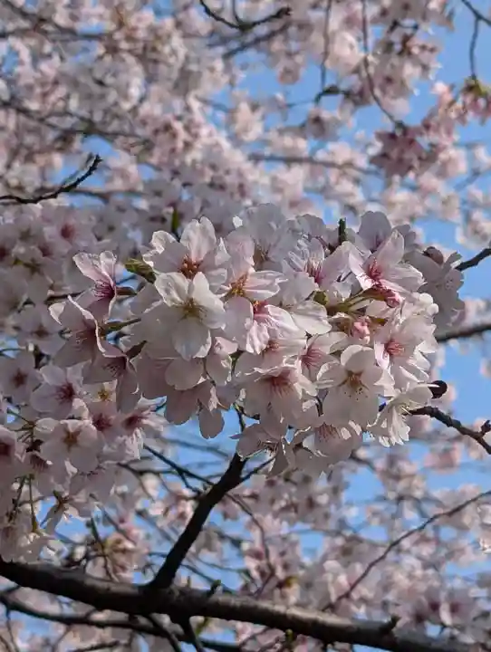 豊顕寺(神奈川県)