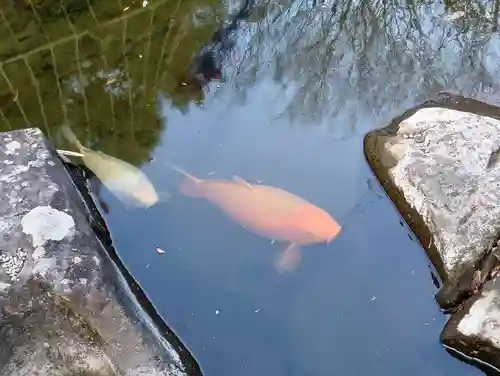 金蛇水神社(宮城県)