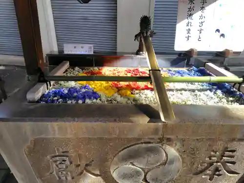 七社神社の{uncategorized: "未分類", other: "その他", undefined: "問題あり", building: "その他建物", grave: "お墓", sacred_gate: "鳥居", guardian: "狛犬", statue: "像", buddha: "仏像", history: "歴史", nature: "自然", garden: "庭園", animal: "動物", pagoda: "塔", temizu: "手水舎", mountain_gate: "山門・神門", sanctuary: "本殿・本堂", subordinate: "末社・摂社", art: "芸術", scenery: "景色", jizo: "地蔵", ema: "絵馬", goshuin: "御朱印", omikuji: "おみくじ", items: "授与品その他", amulet: "お守り", goshuincho: "御朱印帳", eats: "食事", festival: "お祭り", votive_dance: "神楽", shichigosan: "七五三参", wedding: "結婚式", experience: "体験その他", initially: "初詣", around: "周辺", anti_infection: "感染症対策"}