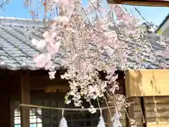 新海三社神社(長野県)