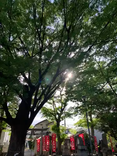 新町諏訪神社(群馬県)