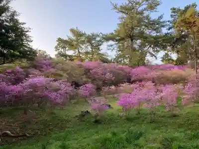 廣田神社(兵庫県)