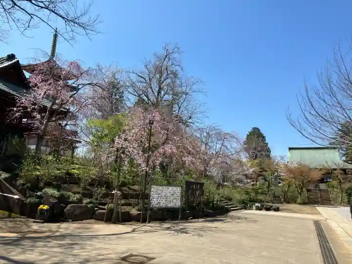 本土寺(千葉県)
