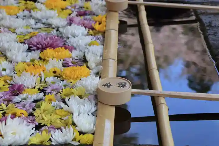 土津神社|こどもと出世の神さまの手水舎