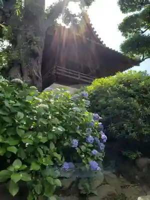 護国寺のその他建物
