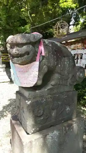 菊田神社の狛犬