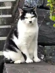 王子神社の動物