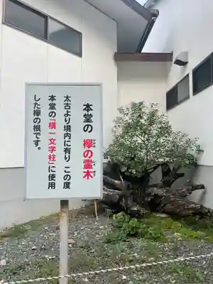 祇園山 徳城寺の歴史