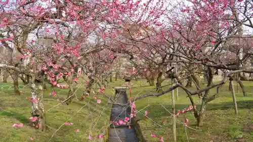 北野天満宮の庭園