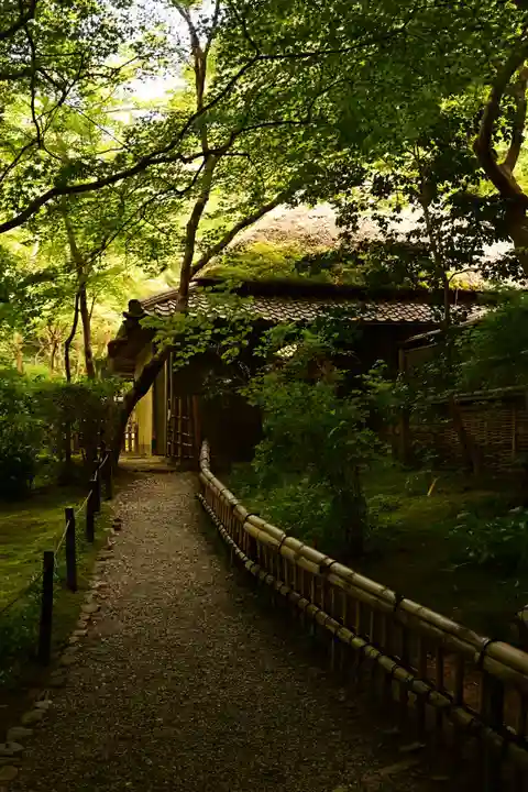 祇王寺(京都府)