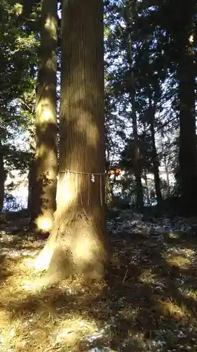 山﨑同姓八幡宮のその他建物