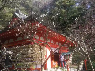 荏柄天神社の本殿・本堂