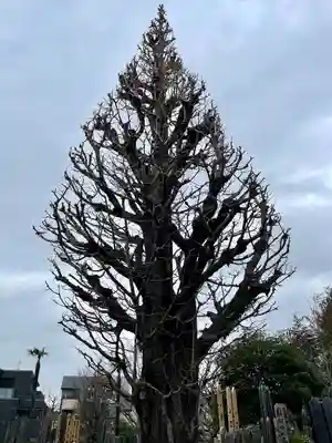 定泉寺(東京都)