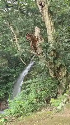 出雲大社北島国造館 出雲教(島根県)