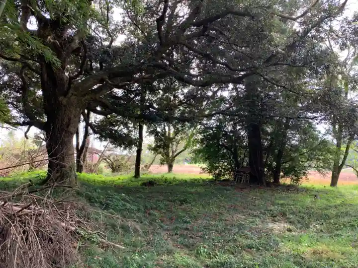 東光寺(千葉県)