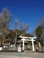 津森神宮の鳥居