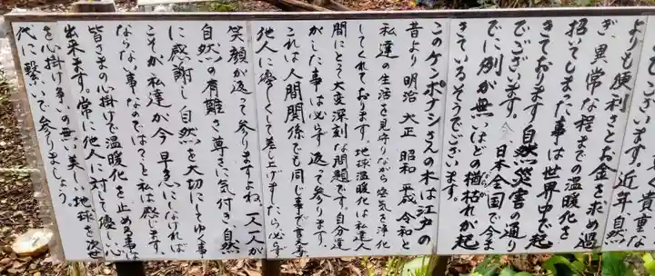 戸越八幡神社(東京都)