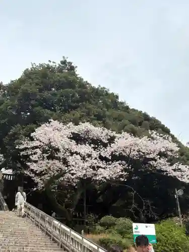 宇都宮二荒山神社の{uncategorized: "未分類", other: "その他", undefined: "問題あり", building: "その他建物", grave: "お墓", sacred_gate: "鳥居", guardian: "狛犬", statue: "像", buddha: "仏像", history: "歴史", nature: "自然", garden: "庭園", animal: "動物", pagoda: "塔", temizu: "手水舎", mountain_gate: "山門・神門", sanctuary: "本殿・本堂", subordinate: "末社・摂社", art: "芸術", scenery: "景色", jizo: "地蔵", ema: "絵馬", goshuin: "御朱印", omikuji: "おみくじ", items: "授与品その他", amulet: "お守り", goshuincho: "御朱印帳", eats: "食事", festival: "お祭り", votive_dance: "神楽", shichigosan: "七五三参", wedding: "結婚式", experience: "体験その他", initially: "初詣", around: "周辺", anti_infection: "感染症対策"}