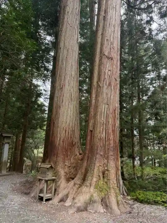 三峯神社(埼玉県)