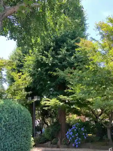 寶安寺（宝安寺）(神奈川県)