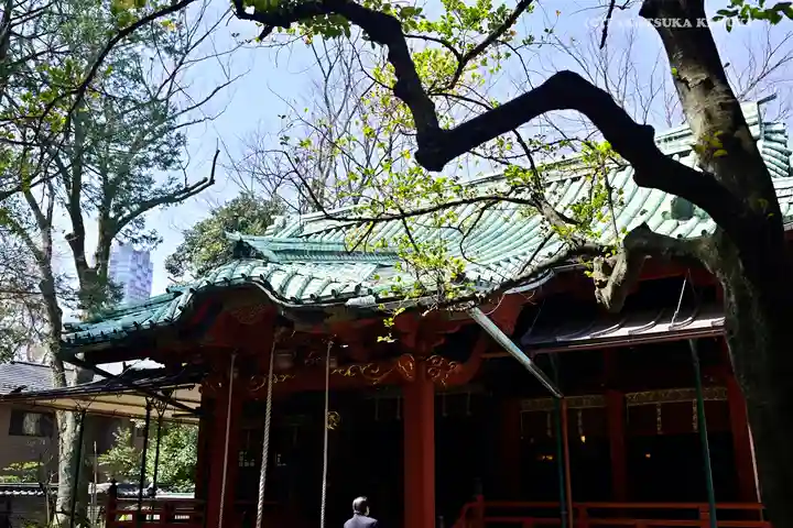 赤坂氷川神社の本殿・本堂
