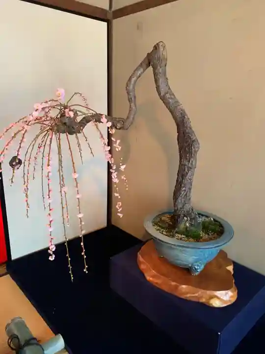 神社(慶雲館)(滋賀県)