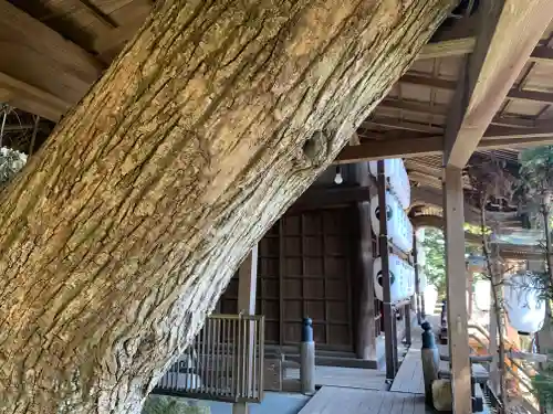 大甕神社のその他建物