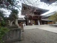 寒川神社(神奈川県)