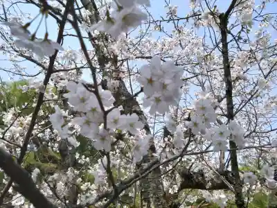 平安神宮の{uncategorized: "未分類", other: "その他", undefined: "問題あり", building: "その他建物", grave: "お墓", sacred_gate: "鳥居", guardian: "狛犬", statue: "像", buddha: "仏像", history: "歴史", nature: "自然", garden: "庭園", animal: "動物", pagoda: "塔", temizu: "手水舎", mountain_gate: "山門・神門", sanctuary: "本殿・本堂", subordinate: "末社・摂社", art: "芸術", scenery: "景色", jizo: "地蔵", ema: "絵馬", goshuin: "御朱印", omikuji: "おみくじ", items: "授与品その他", amulet: "お守り", goshuincho: "御朱印帳", eats: "食事", festival: "お祭り", votive_dance: "神楽", shichigosan: "七五三参", wedding: "結婚式", experience: "体験その他", initially: "初詣", around: "周辺", anti_infection: "感染症対策"}